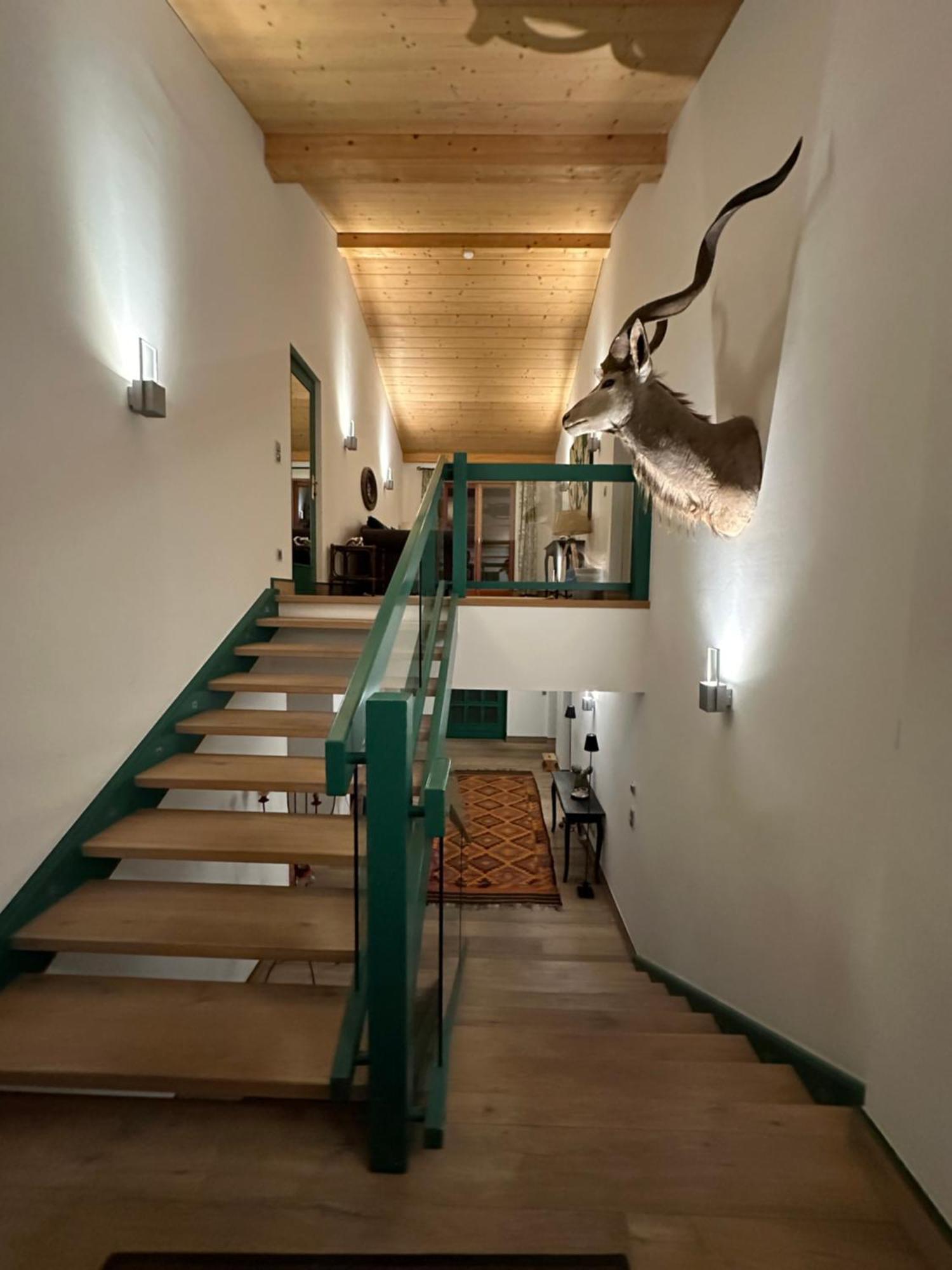 Haus Katschberg Villa คัทช์แบร์กเฮอเฮอ ภายนอก รูปภาพ